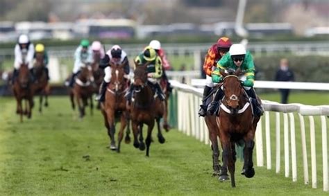 tips for cheltenham 2020|Cheltenham Festival Tips: Our top tipsters best bets across.